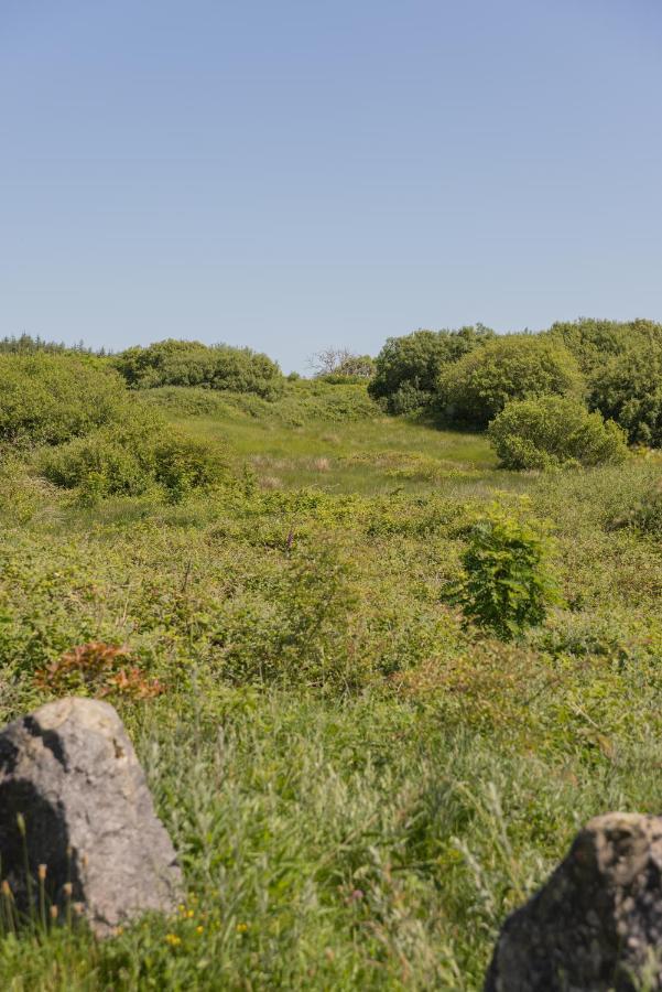 Kilfenora The Common Knowledge Centre旅舍 外观 照片