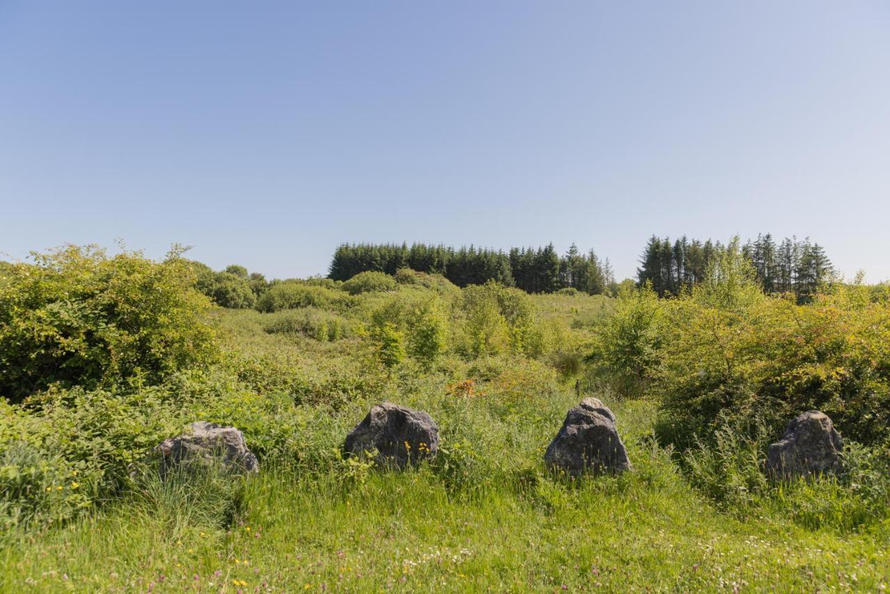 Kilfenora The Common Knowledge Centre旅舍 外观 照片