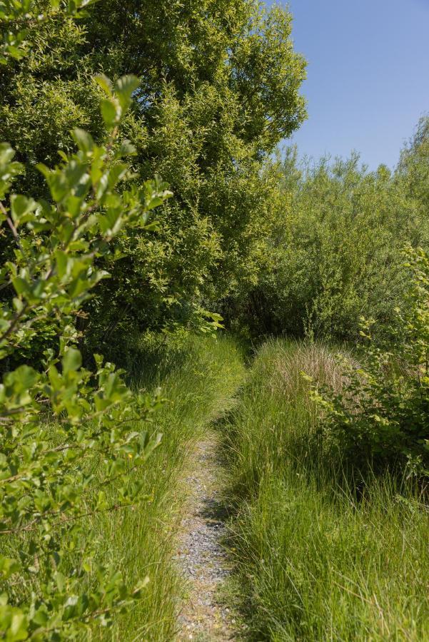 Kilfenora The Common Knowledge Centre旅舍 外观 照片