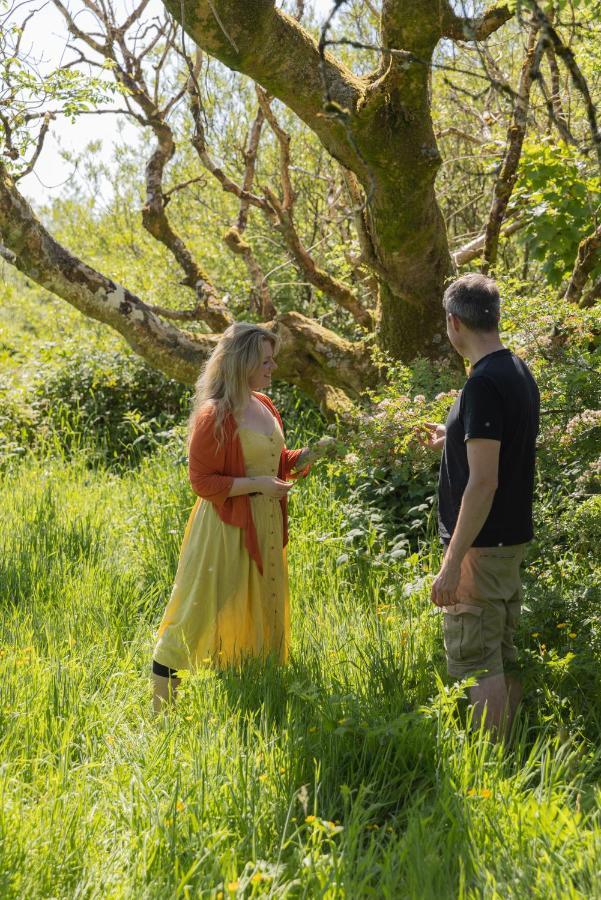Kilfenora The Common Knowledge Centre旅舍 外观 照片