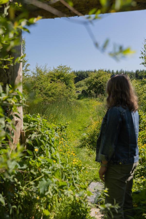Kilfenora The Common Knowledge Centre旅舍 外观 照片