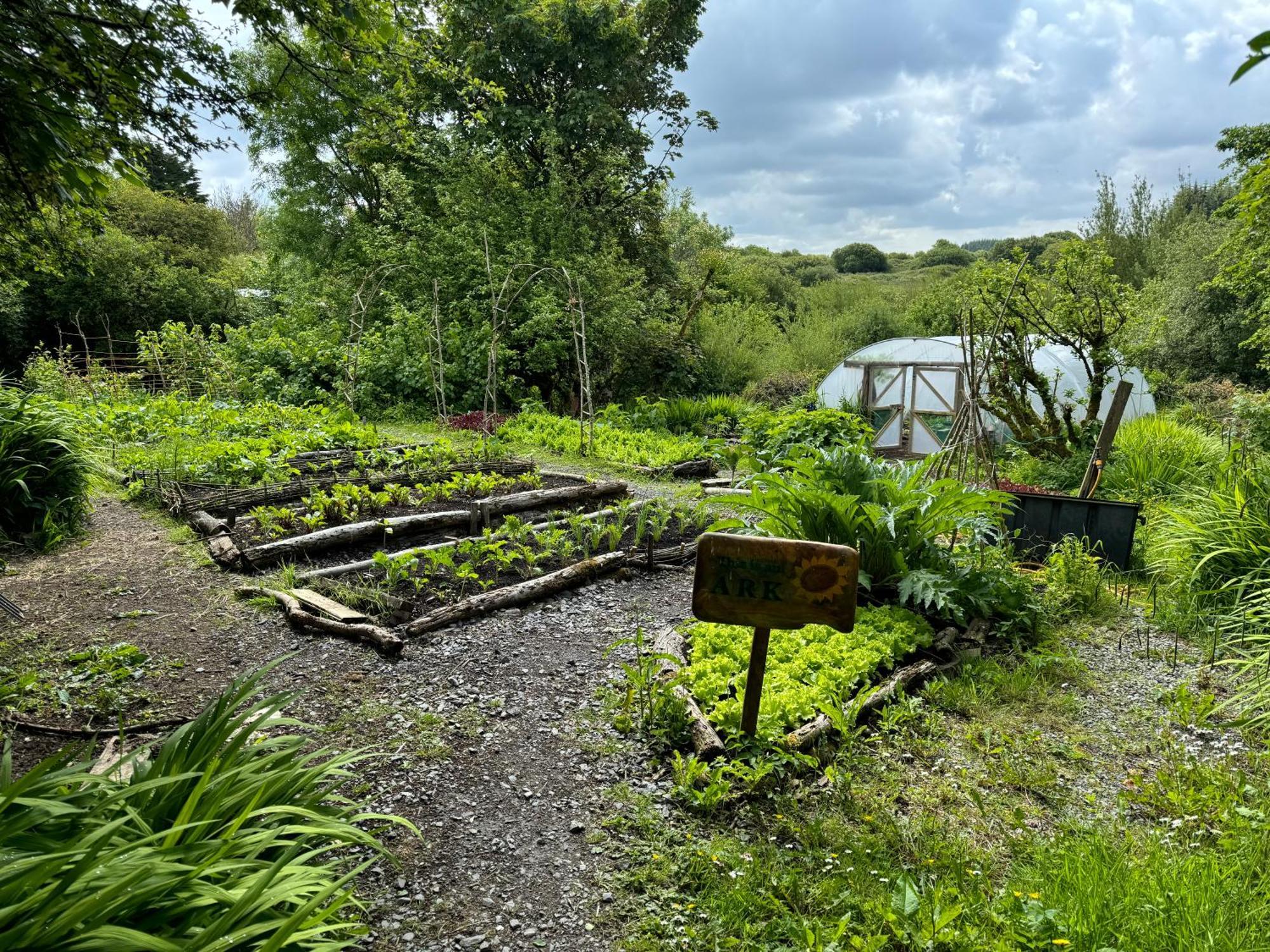 Kilfenora The Common Knowledge Centre旅舍 外观 照片